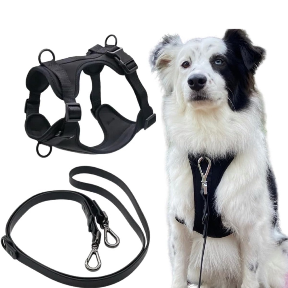 Tito's Closet large Dog Harness and Leash Set, No Pull Dog Harness, Black,